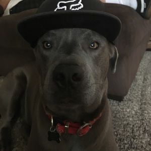 Meet your Posher, Seth